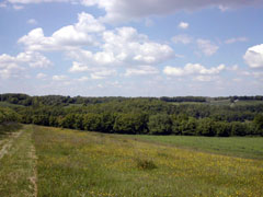 la ferme au printemps