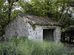 la ferme au printemps