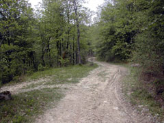 la ferme au printemps