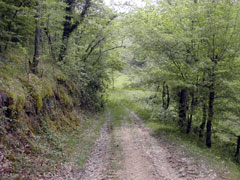 la ferme au printemps