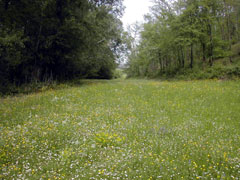 la ferme au printemps