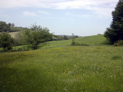 la ferme au printemps