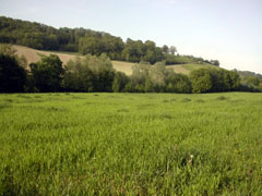 la ferme au printemps