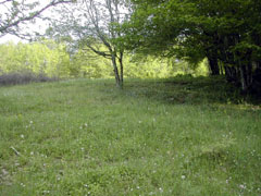 la ferme au printemps