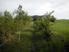 la ferme au printemps