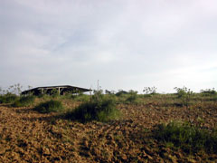 la ferme au printemps